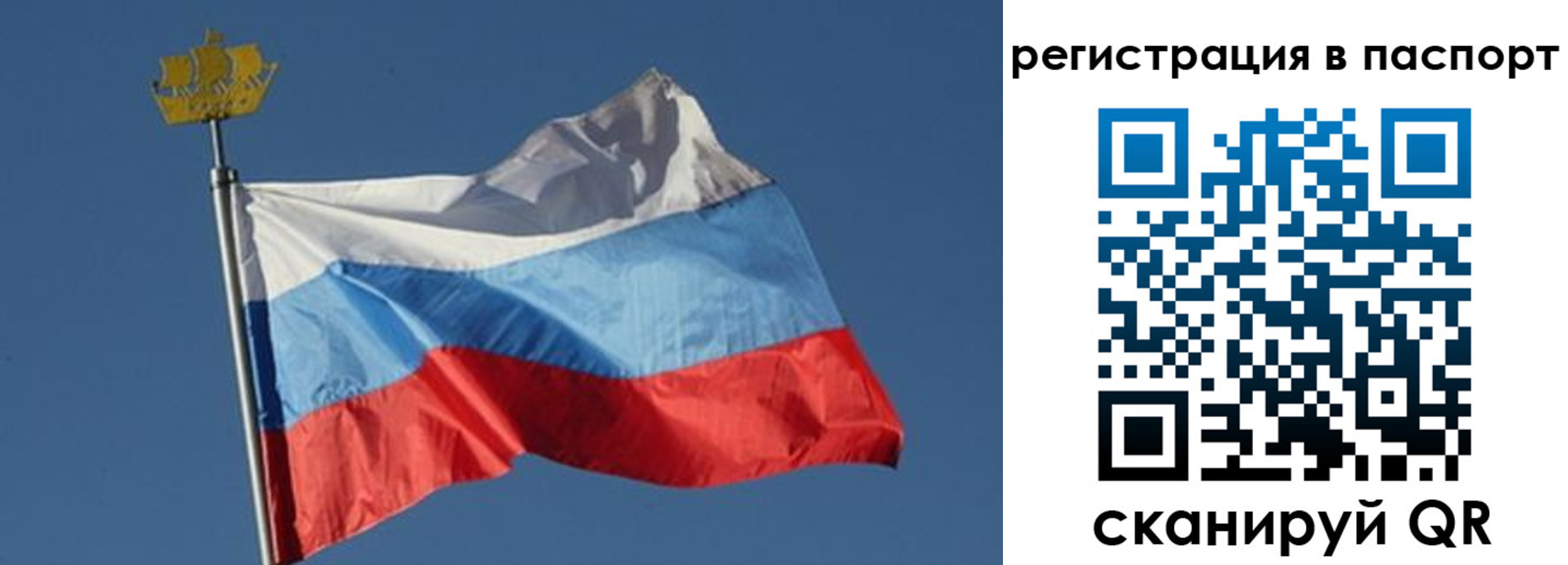 временная регистрация законно в Елизово